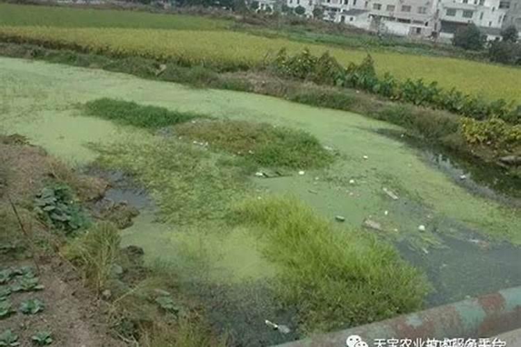 硝酸铵和水反应什么现象