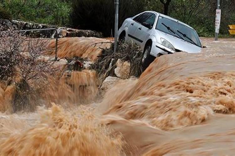 如果刚施完肥遇到了下雨天,会不会导致肥料流失呢？