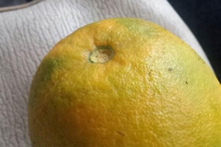 柑橘着色快增甜快用什么药,着色不均匀是什么原因