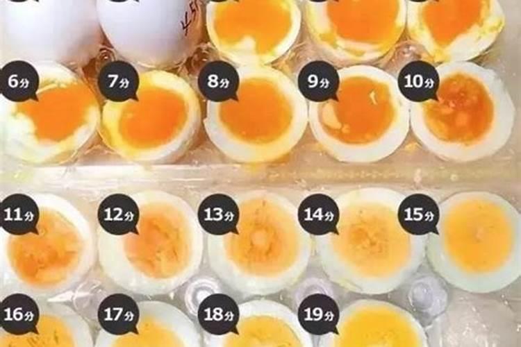 发酵鱼蛋白长虫子怎么办