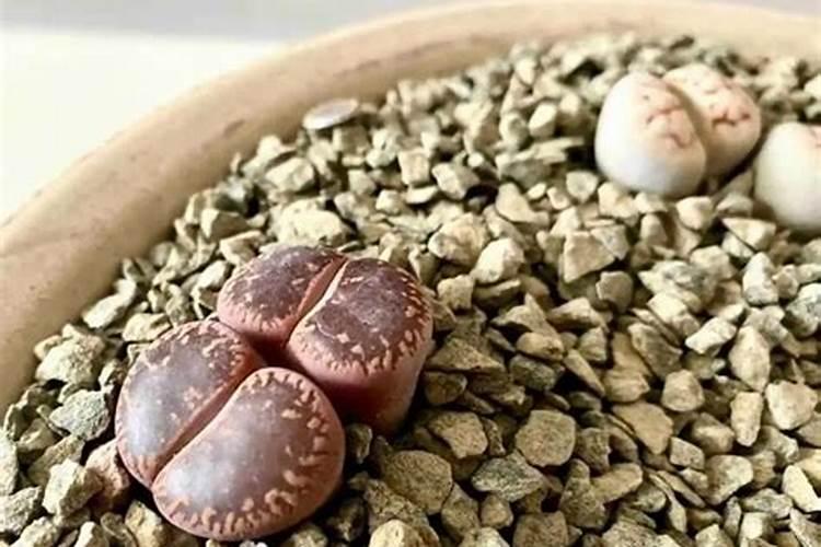 肥料包装上的养分含量应该如何标识？看文章