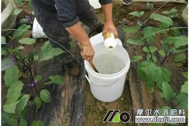 钙镁磷肥的作用及使用方法