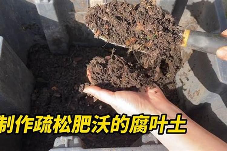 多肉用什么肥料最好