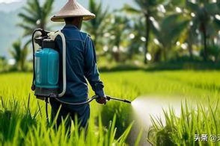 多肽鱼蛋白含腐植酸水容肥料能打花生吗