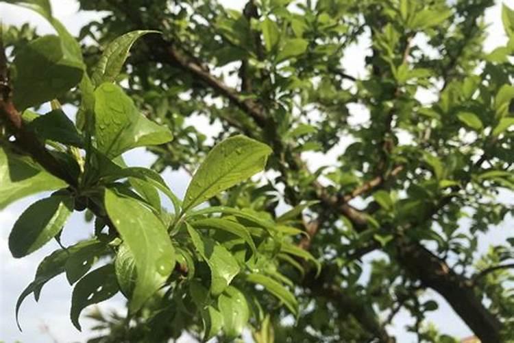 氮气的价格是多少啊