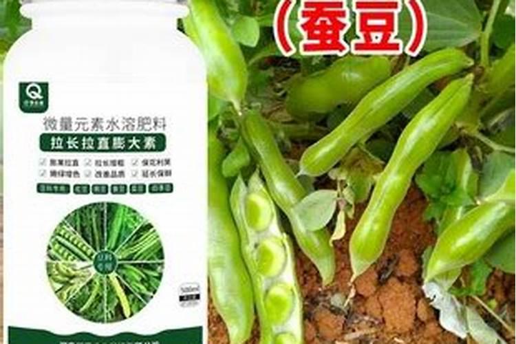 西红柿挂果后施什么肥