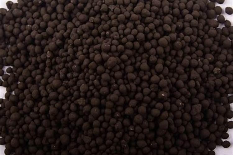 二氧化碳肥料有哪些