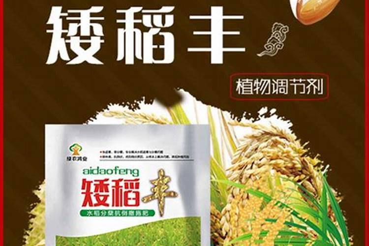 黄瓜结果期用什么复合肥？黄瓜打什么叶面肥长的快？