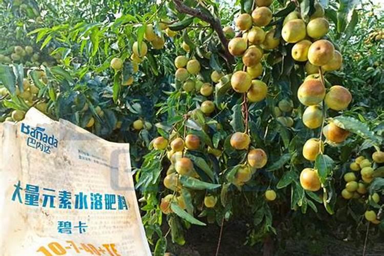 河北艾森德化工有限公司电话是多少？