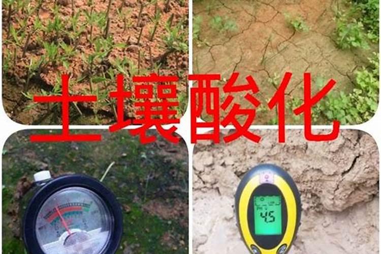 土壤板结的原因及解决办法