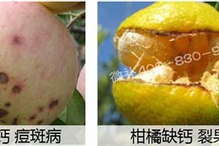 平衡水溶肥配方