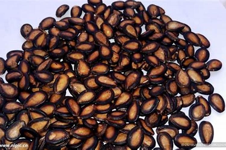 瓜子壳可以做肥料吗