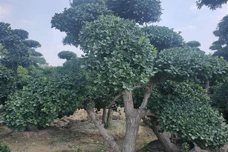 太原市所有,村名,街,路,区名称