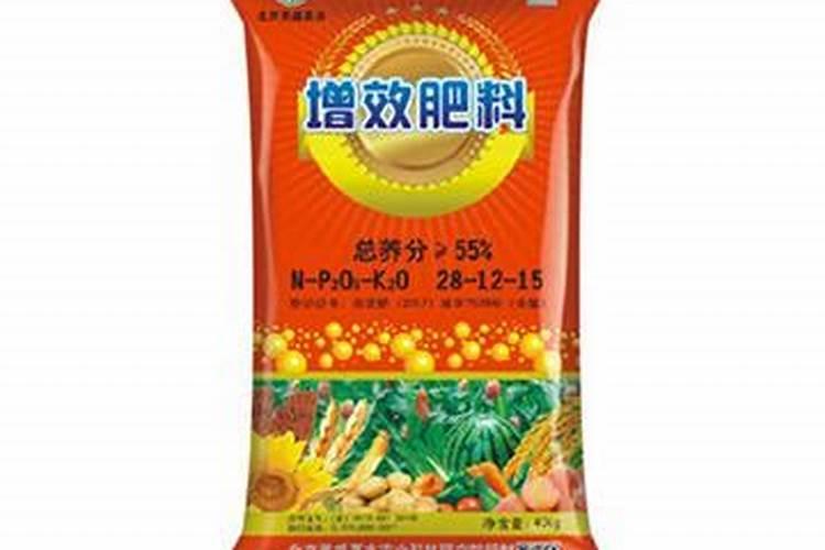 瑞香叶尖干枯怎么办