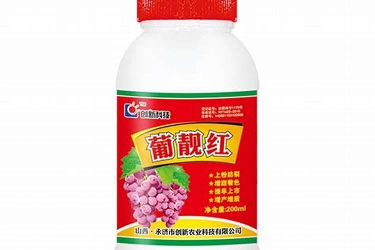 猕猴桃用什么肥料