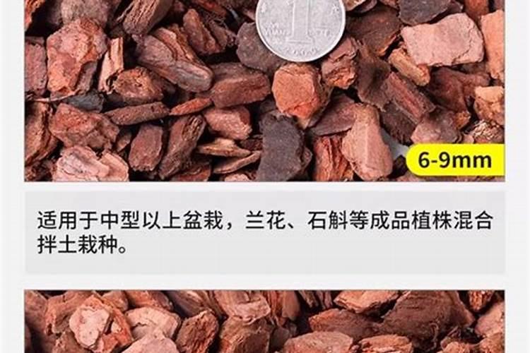 红心柚什么时候成熟