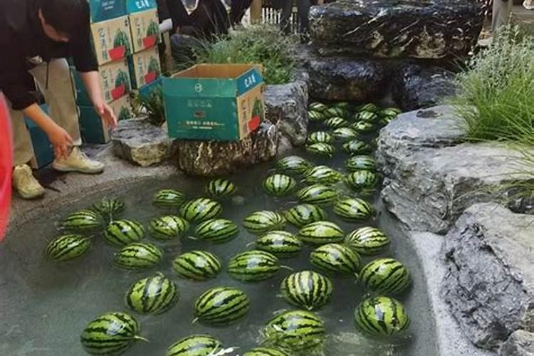 如何种西瓜与管理
