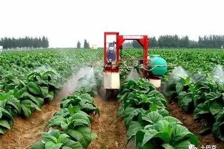 叶面肥和农药可以混在一起使用吗 常用叶面肥与农药混用先后顺序百度...