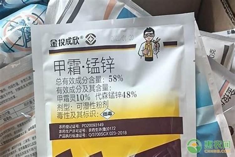 玉米什么病快点朋友们