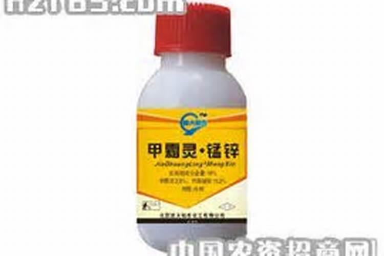 霜霉病用什么药最好