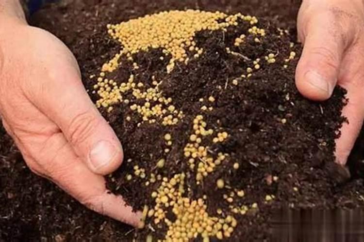 硼肥的正确使用方法