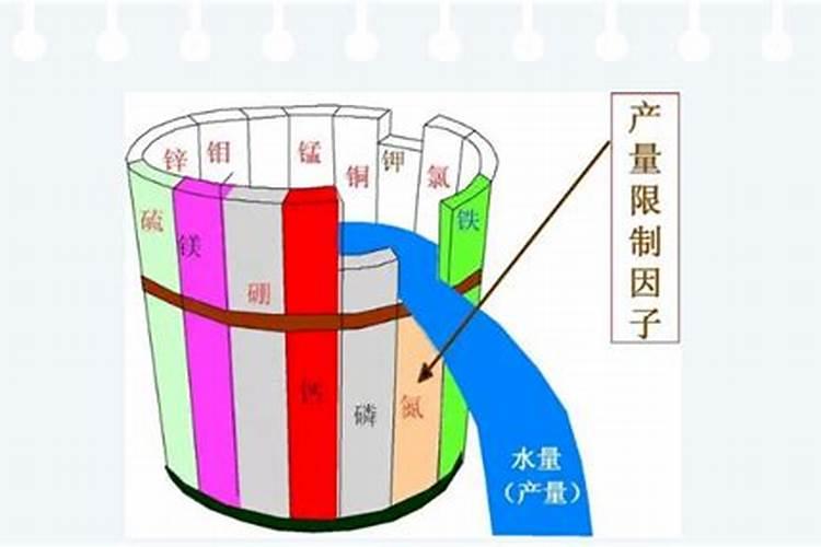 黄腐酸钾可以和鱼蛋白混冲施吗