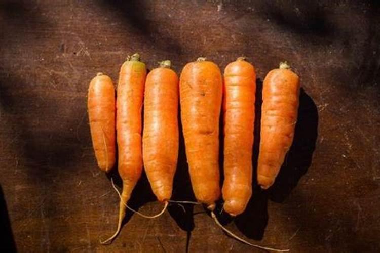 花椒好种植吗？花椒的习性管理及病虫害防治？怎么才能有好的收获