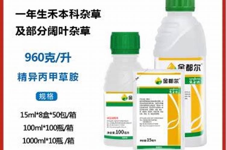 草莓用什么叶面肥