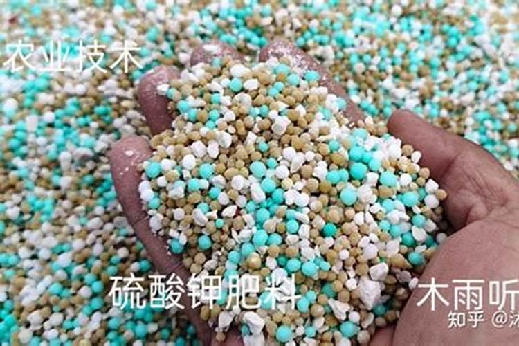 化肥与有机肥有什么区别