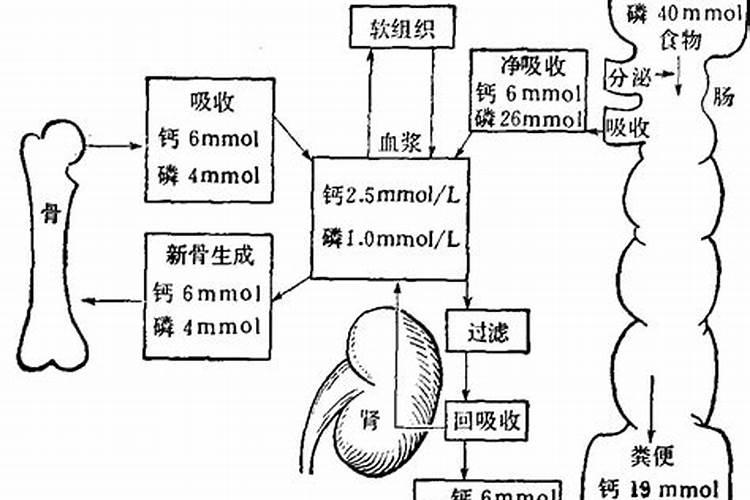 复合肥和碳铵磷肥能混合用么