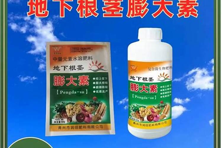 芋头膨大期施用什么肥料