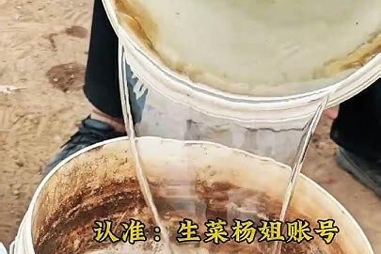 农作物会缺钙吗？如何给农作物补钙？