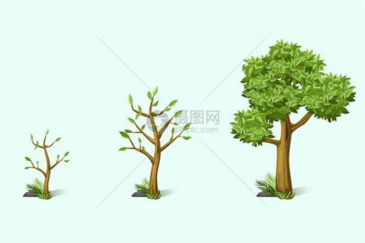 腐植酸钾使用方法