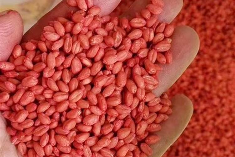 什么肥料起什么作用