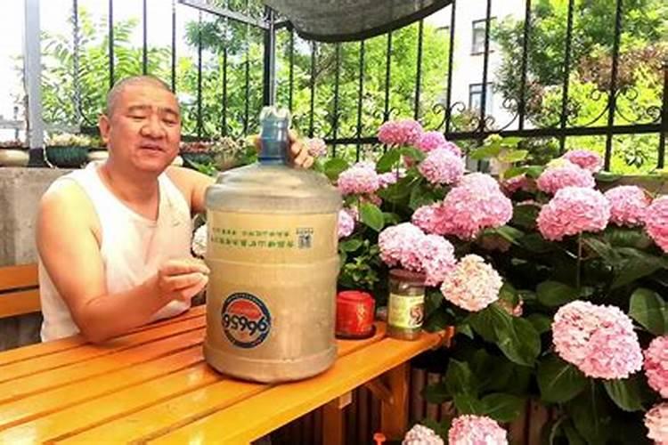 农村如何用杂草和野菜制钾肥