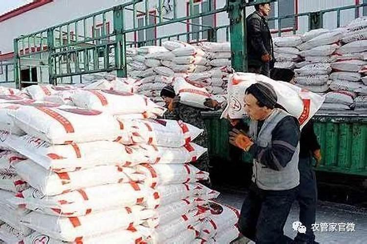 生姜要打什么农药姜大