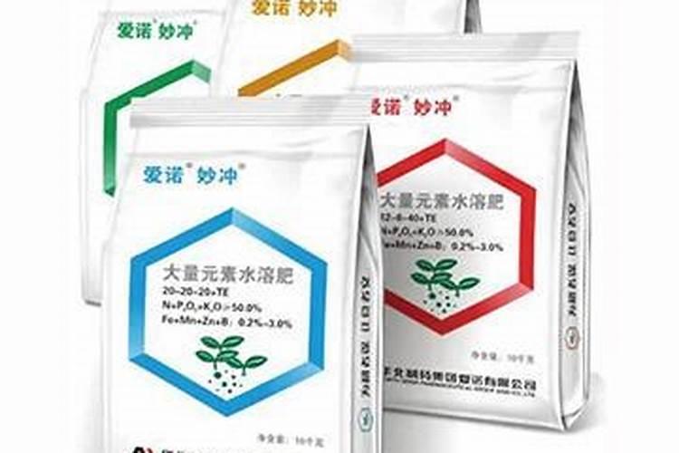 上海本地股有哪些