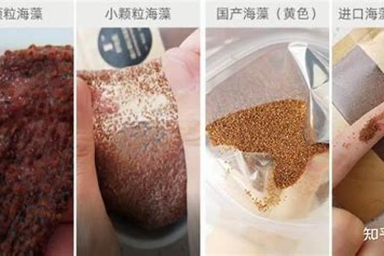 慈菇的养殖方法(慈菇养殖全攻略,从选种到收获,新手也能轻松上手)百度...