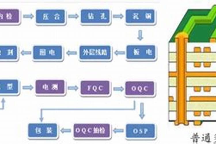 怎么样施肥能让树长得很壮？