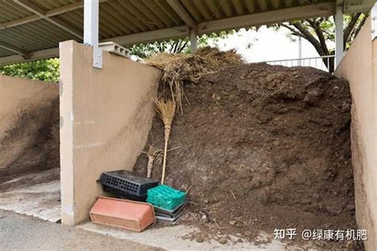 盆栽荷花什么时候种合适,上盆步骤