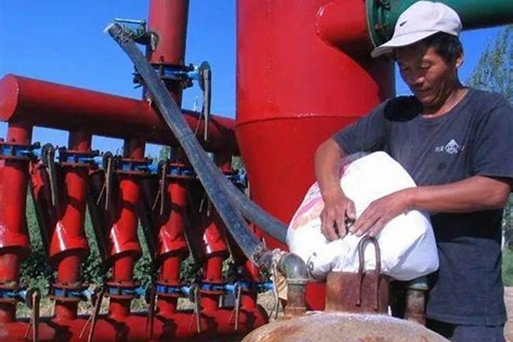 棉花僵苗的发生原因 解决方法简介