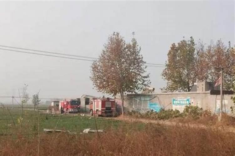 鸟粪泡水发酵有难闻的味道吗？