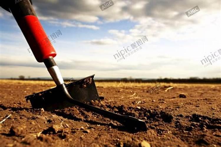 种菜用什么肥料最好