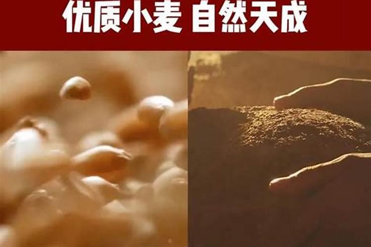 腊梅不是梅花,落花后做好这一点,来年开花不断