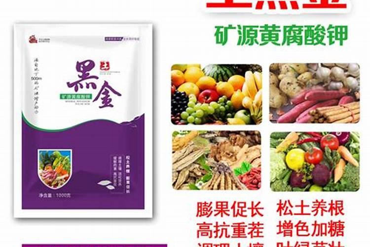 怎样给葡萄喷肥才能效果达到最好？