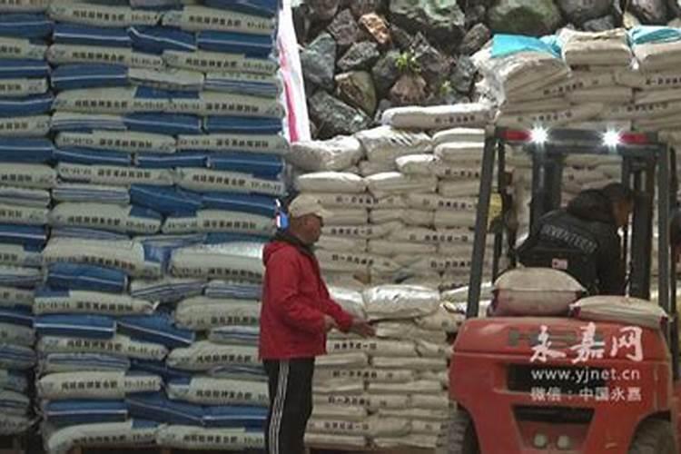 雏菊籽批发基地在哪里 种植方法