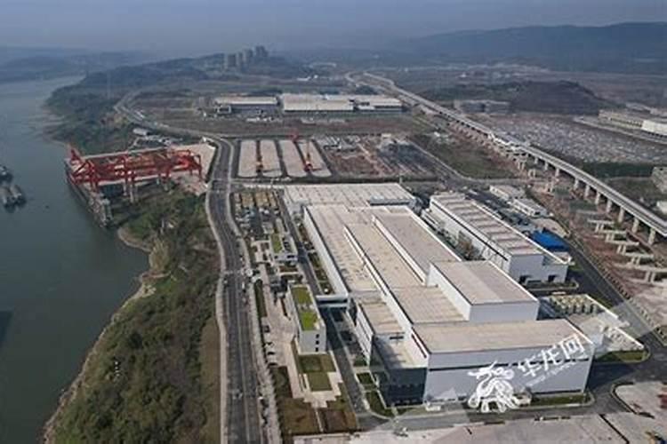 观音莲浇什么肥料合适