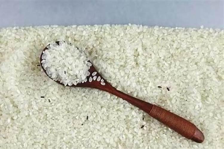 辣椒喷什么叶面肥结果多,多久喷一次