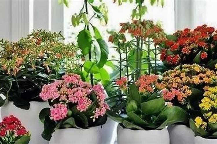 花生池怎样补钙