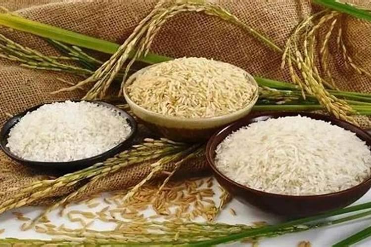 以简单的方式自制氮肥该怎么做